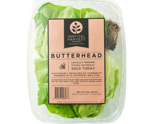 Vertical Harvest Butterhead Lettuce