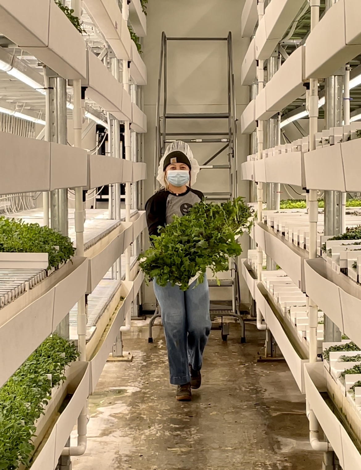 Greenie of The Month Vertical Harvest