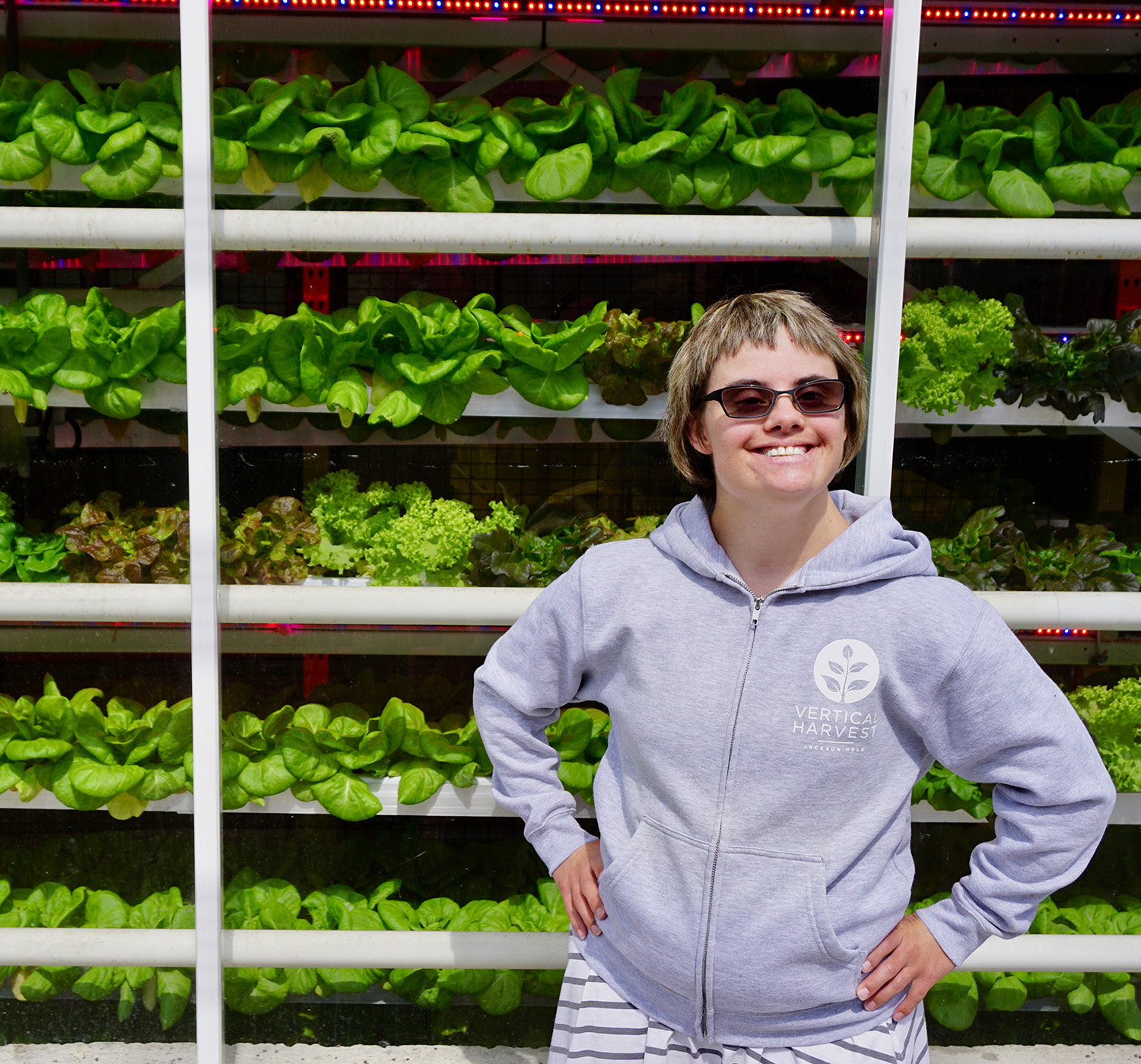 vertical harvest employee and trays