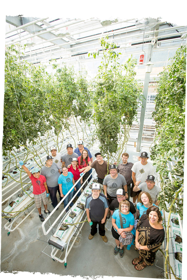 Vertical farming staff posing for picture in hydroponic greenhouse