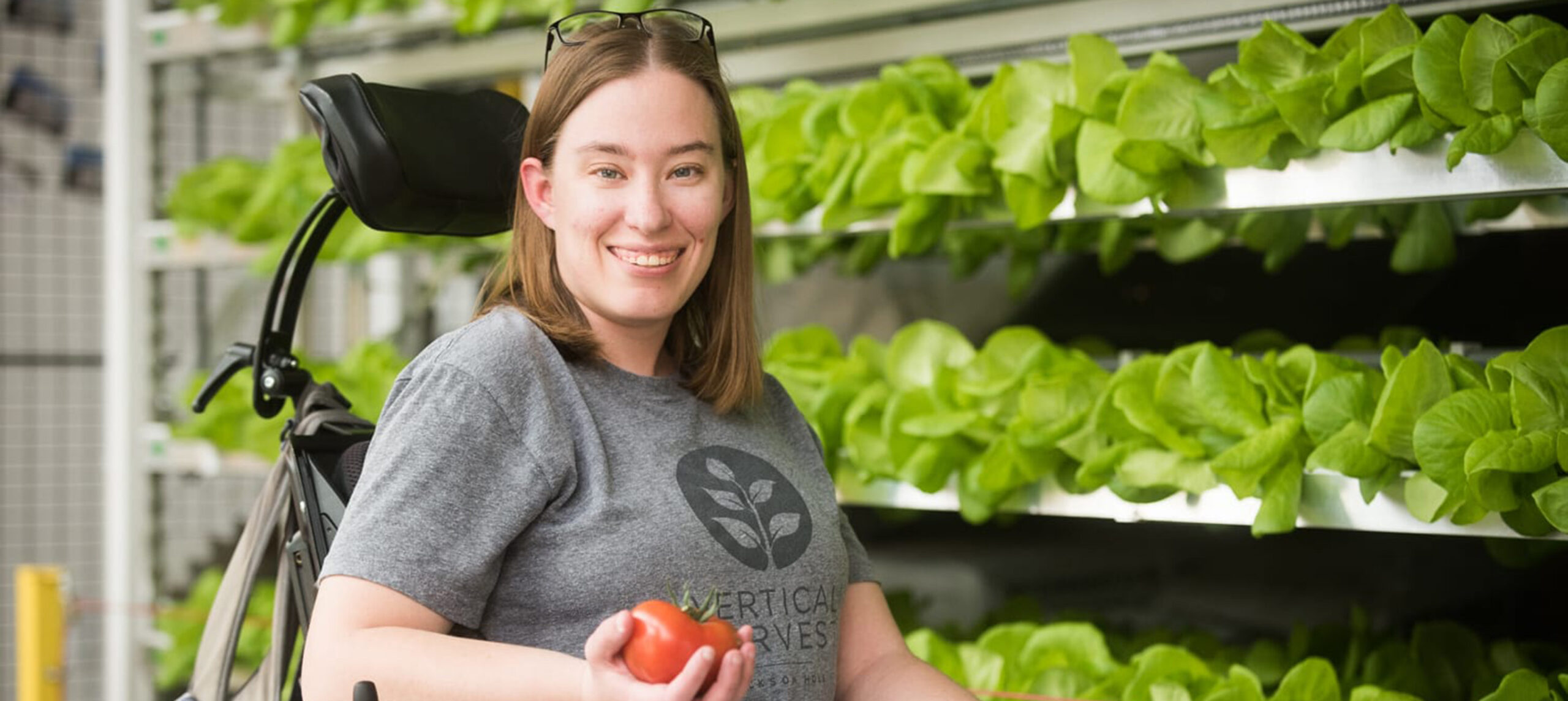 Vertical Harvest employee in a wheelchair holding tomato in front of trays of hydroponically grown lettuce